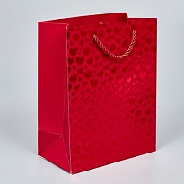 Пакет подарочный 18*23*10см Сердечки красный