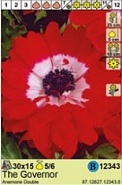 Анемона Говернор махр. 5/6 15шт*