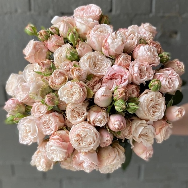 Роза куст. Flora Ola Bombastic дл.50 10шт