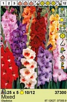 Гладиолус микс 10/12 5шт*