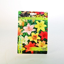 Лилия микс аз.12/14 3шт*