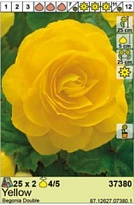 Бегония Желтая махр. 4/5 2шт*