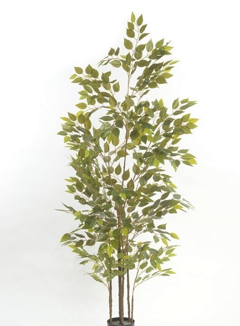 Фикус искусcтвенная h200см зеленый