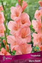 Гладиолус Шуга Бейб 10/12 10шт