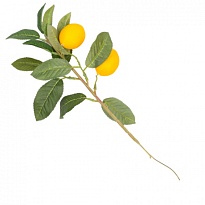 Зелень ветка искусственная лимон с плодами h28см 