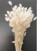 Лагурус Champagne пучок 1шт