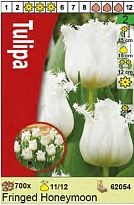 Тюльпан Ханимун бахр. 11/12 3шт в сетке