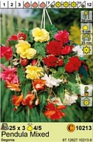 Бегония Пендула микс 4/5 3шт*