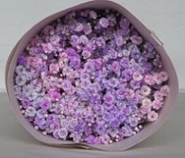 Гипсофила Violeta Tinted Duo Lilac/pink 1000gr 25шт