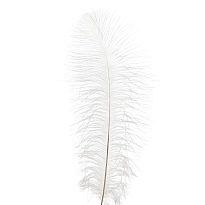 Перья Страуса h50-55см 3шт/уп белый