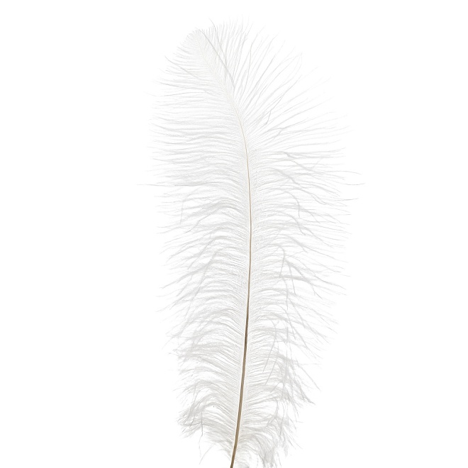 Перья Страуса h50-55см 3шт/уп белый