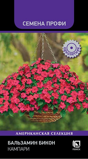 Бальзамин Бикон Кампари 7шт /Поиск