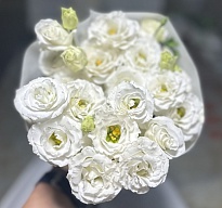 Эустома Reddish White (К) дл.70 1уп