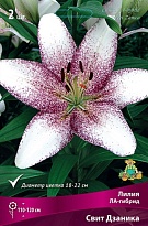 Лилия ЛА-гибрид Свит Дзаника 12/14 3шт