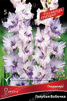 Гладиолус Голубая Бабочка 12+ 5шт
