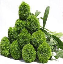 Гвоздика Одноголовая Green Trick (К) дл.65 10шт