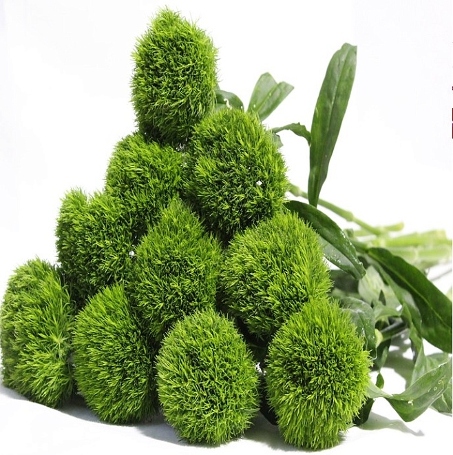 Гвоздика Одноголовая Green Trick (К) дл.65 10шт