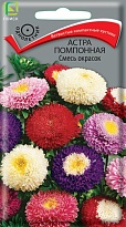 Астра помпонная Смесь окрасок 0,3г /Поиск