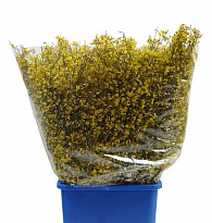 Джениста Yellow 300gr пучок 1шт