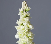 Маттиола одиночная искусственная h80см белый