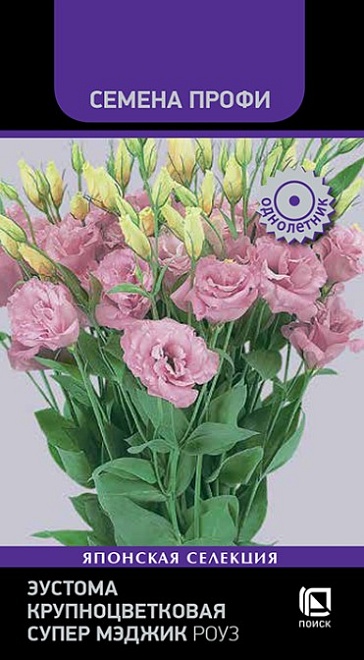 Эустома (Лизиантус) Супер Мэджик Роуз 5шт /Поиск