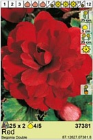 Бегония Красная махр. 4/5 2шт*