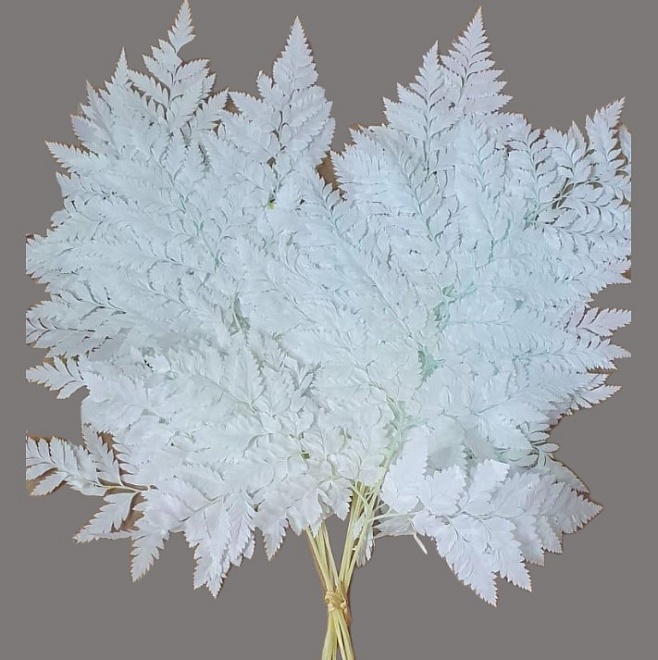 Листья папоротника сухоцвет, h30-40см, белесый тиффани