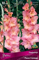Гладиолус Пинк Соледо 10/12 10шт
