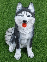 Собака Хаски h37см