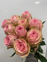 Роза Rugosa (К) дл.60 10шт