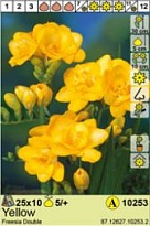 Фрезия Желтая махровая 5/+ 10шт*