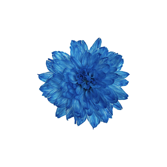 Краска для срезанных цветов 0,95л синий