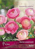 Лютик азиатский Пинк 7/8 10шт