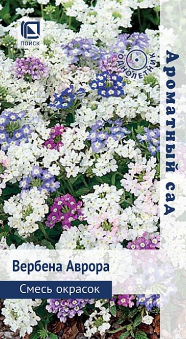 Вербена Аврора Смесь окрасок 10шт /Поиск