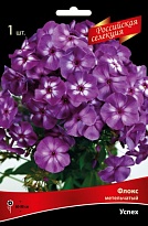 Флокс метельчатый Успех 1шт