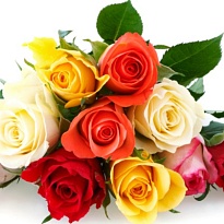 Роза Jet Fresh Flower Mix дл.60 25шт