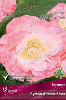 Бегония Вумми Апфельблют 5/6 1шт