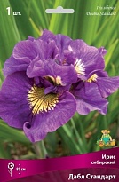 Ирис сибирский Дабл Стандарт 1шт