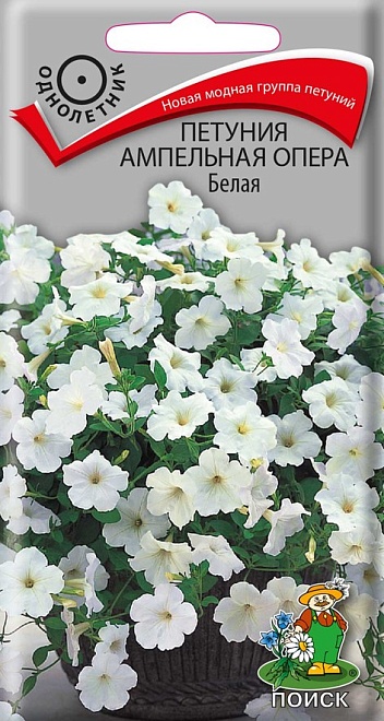 Петуния ампельная Опера Белая 5шт /Поиск