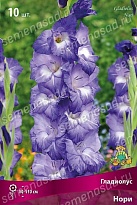 Гладиолус Нори 10/12 10шт