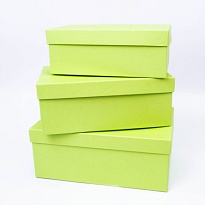 Коробка подарочная Прямоугольник 21,5*12,5*8,5см лайм