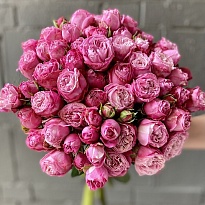 Роза куст. Flora Ola Lady Bombastic дл.60 10шт