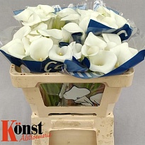 Калла Ivory Art 10шт