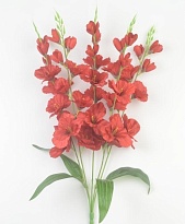 Гладиолус в букете искусственный 5 веток h65см красный