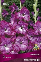 Гладиолус Наблус Раффл 10/12 10шт