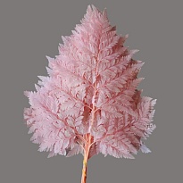 Листья папоротника сухоцвет, h30-40см, светло-розовый