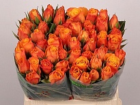 Роза Confidential дл.40 10шт