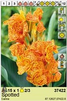 Канна Споттед 2/3 1шт*