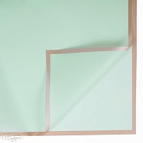 Пленка матовая 58*58см с золотой каймой, 20 листов, зеленый