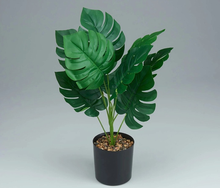 Монстера искусcтвенная h37см зеленый